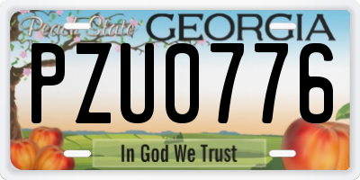 GA license plate PZU0776