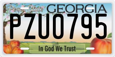 GA license plate PZU0795