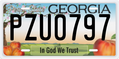 GA license plate PZU0797