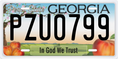 GA license plate PZU0799