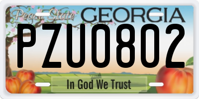 GA license plate PZU0802
