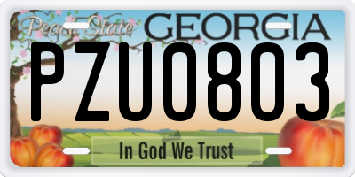 GA license plate PZU0803