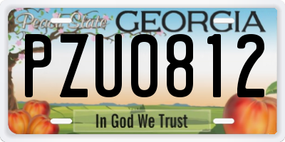 GA license plate PZU0812