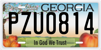GA license plate PZU0814