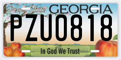 GA license plate PZU0818