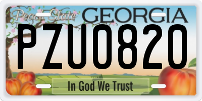 GA license plate PZU0820