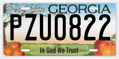 GA license plate PZU0822