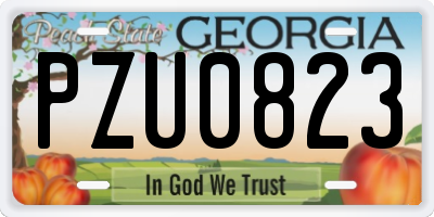 GA license plate PZU0823