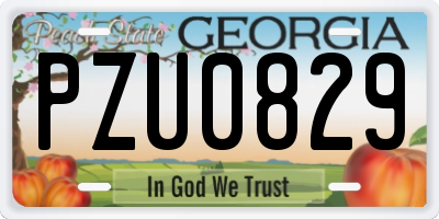 GA license plate PZU0829
