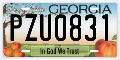 GA license plate PZU0831