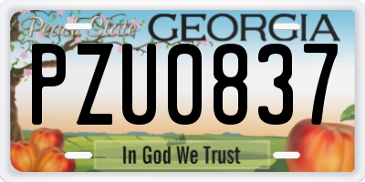 GA license plate PZU0837