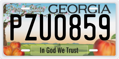 GA license plate PZU0859