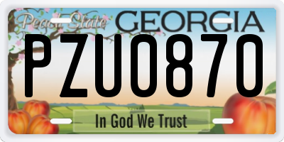 GA license plate PZU0870