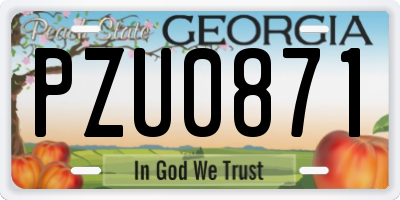 GA license plate PZU0871