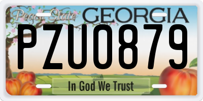 GA license plate PZU0879