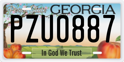 GA license plate PZU0887