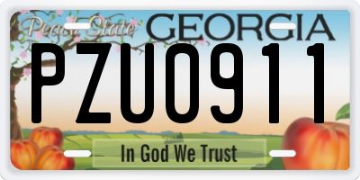 GA license plate PZU0911