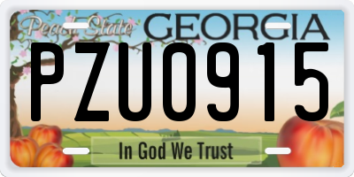 GA license plate PZU0915