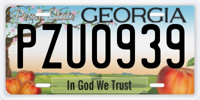 GA license plate PZU0939