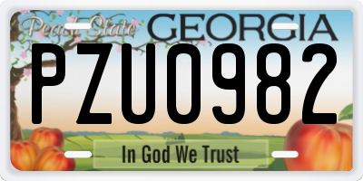 GA license plate PZU0982