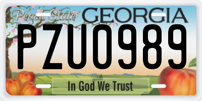 GA license plate PZU0989