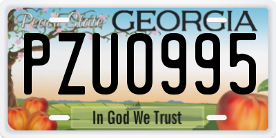 GA license plate PZU0995