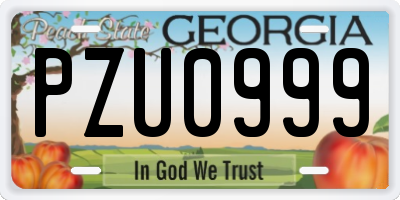 GA license plate PZU0999