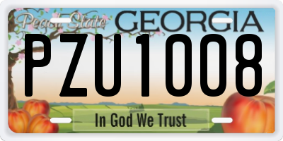 GA license plate PZU1008