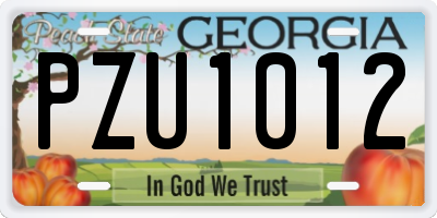 GA license plate PZU1012