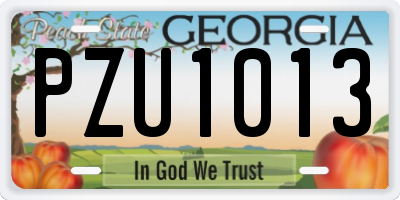 GA license plate PZU1013