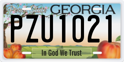 GA license plate PZU1021