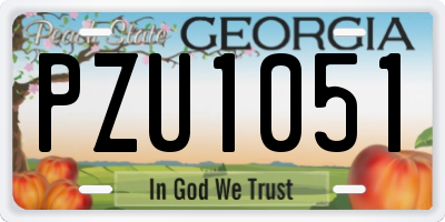 GA license plate PZU1051