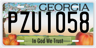 GA license plate PZU1058