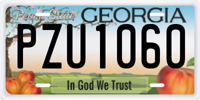GA license plate PZU1060