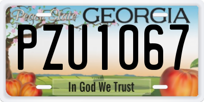 GA license plate PZU1067