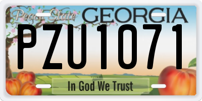 GA license plate PZU1071