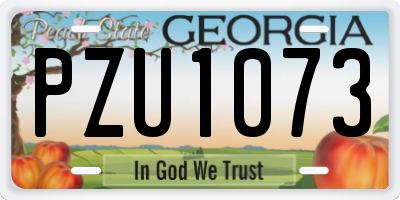 GA license plate PZU1073