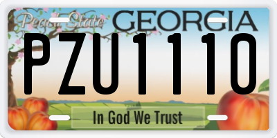 GA license plate PZU1110