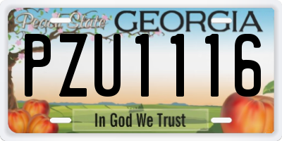 GA license plate PZU1116