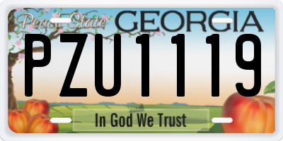 GA license plate PZU1119
