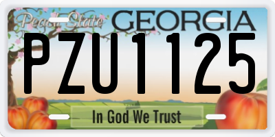 GA license plate PZU1125