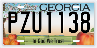 GA license plate PZU1138