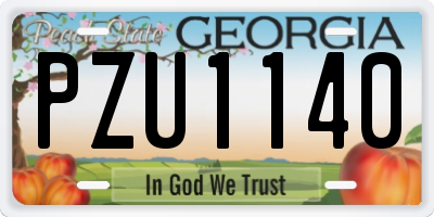 GA license plate PZU1140