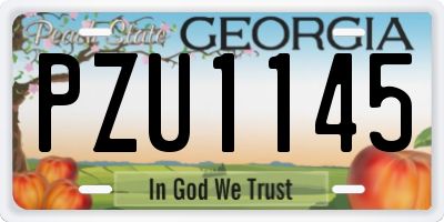 GA license plate PZU1145