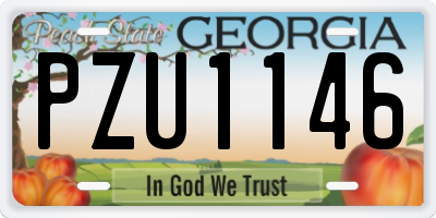 GA license plate PZU1146