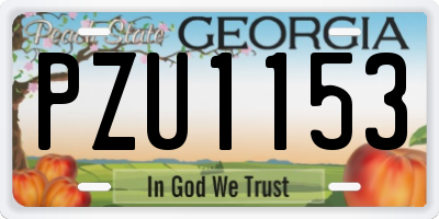 GA license plate PZU1153