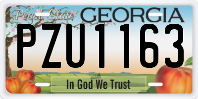 GA license plate PZU1163