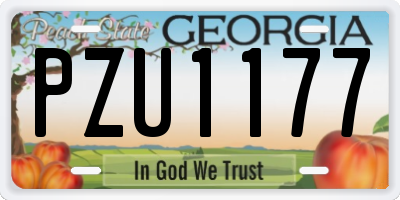 GA license plate PZU1177