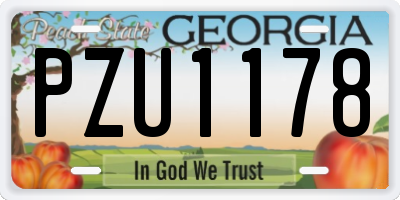GA license plate PZU1178
