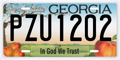 GA license plate PZU1202